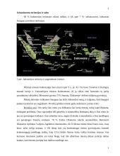 Antropogeniniai Indonezijos teritorijos ypatumai 2 puslapis