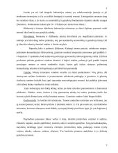 Antropogeniniai Indonezijos teritorijos ypatumai 3 puslapis