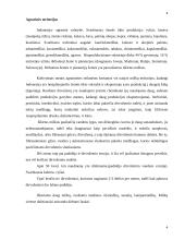 Antropogeniniai Indonezijos teritorijos ypatumai 4 puslapis