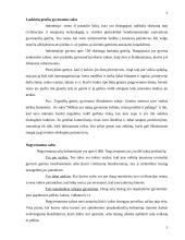 Antropogeniniai Indonezijos teritorijos ypatumai 5 puslapis