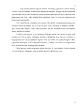 Antropogeniniai Indonezijos teritorijos ypatumai 6 puslapis