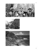 Antropogeniniai Indonezijos teritorijos ypatumai 8 puslapis