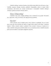 Aplinkos faktorių įtaka sveikatai 12 puslapis
