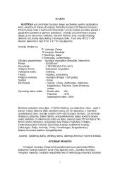 Austrijos ypatybės 2 puslapis