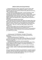 Austrijos ypatybės 5 puslapis