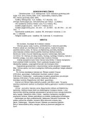 Austrijos ypatybės 6 puslapis