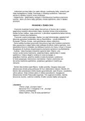 Austrijos ypatybės 7 puslapis