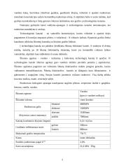 Branduolinė energetika 5 puslapis
