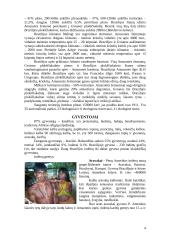 Brazilijos Federacinė Respublika 4 puslapis