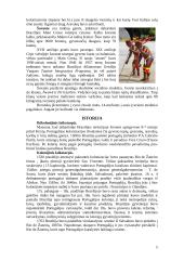 Brazilijos Federacinė Respublika 5 puslapis