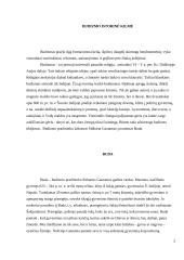 Budizmo filosofija 3 puslapis