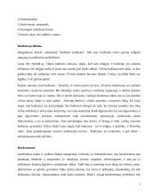 Budos kelias ir Budizmas 7 puslapis