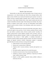 D. Campbell "Mocarto muzikos poveikis vaikams" 4 puslapis