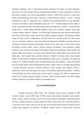 Danijos istorija, geografija, švietimas 4 puslapis