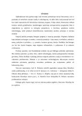 Descartes ir dabartis 16 puslapis