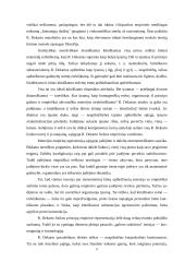 Descartes ir dabartis 7 puslapis