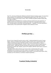 Dzūkijos etnokultūra  11 puslapis