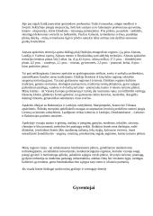 Dzūkijos etnokultūra  4 puslapis