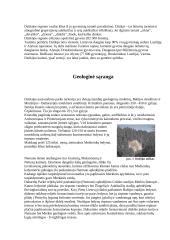Dzūkijos etnokultūra  5 puslapis