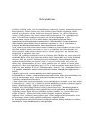 Dzūkijos etnokultūra  9 puslapis