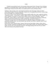 Egiptas bei egiptiečių apranga 2 puslapis