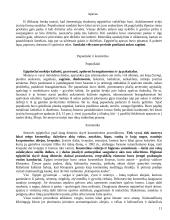 Egiptas bei egiptiečių apranga 11 puslapis