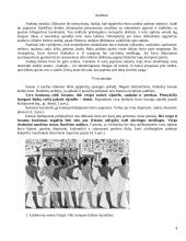 Egiptas bei egiptiečių apranga 4 puslapis