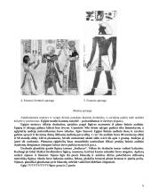 Egiptas bei egiptiečių apranga 6 puslapis