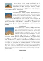 Faktai apie Egiptą 11 puslapis