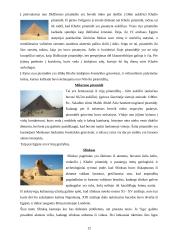 Faktai apie Egiptą 12 puslapis