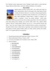 Faktai apie Egiptą 17 puslapis