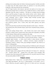 Faktai apie Egiptą 5 puslapis