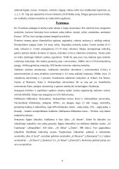 Faktai apie Egiptą 6 puslapis