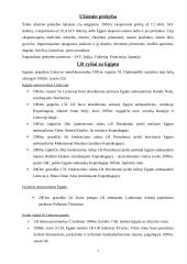 Faktai apie Egiptą 7 puslapis