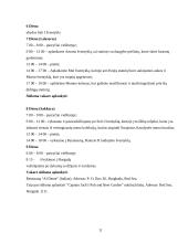 Egipto turizmas 11 puslapis