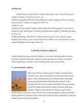 Egipto turizmas 12 puslapis