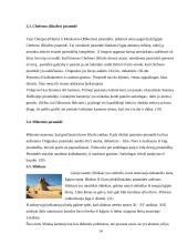 Egipto turizmas 14 puslapis