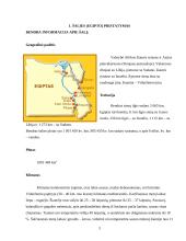 Egipto turizmas 3 puslapis