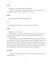 Egipto turizmas 5 puslapis