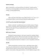 Egipto turizmas 6 puslapis