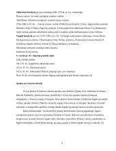 Egipto turizmas 8 puslapis