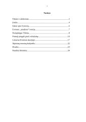 Everesto kalnas 2 puslapis