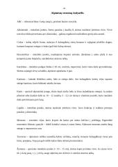 Everesto kalnas 20 puslapis