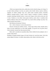 Everesto kalnas 4 puslapis