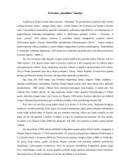 Everesto kalnas 7 puslapis