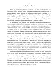 Everesto kalnas 8 puslapis