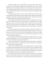 Everesto kalnas 10 puslapis