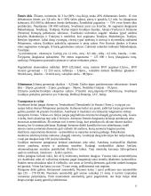 Graikijos ypatybės 11 puslapis