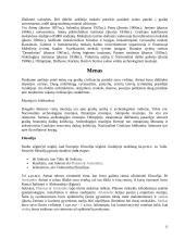 Graikijos ypatybės 13 puslapis