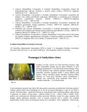 Graikijos ypatybės 15 puslapis